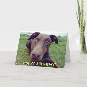 Belle carte d'anniversaire de doberman rouge