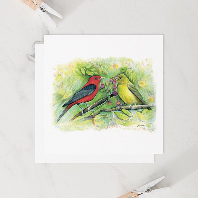 Belle carte de billet Couple Tanager Scarlet (Beautiful Scarlet Tanager Couple Watercolor Blank Note Cards from Jenn Steffen Art)