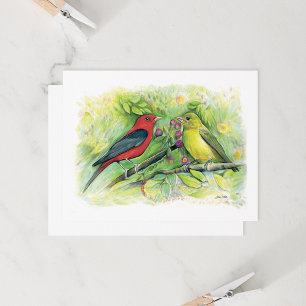 Belle carte de billet Couple Tanager Scarlet