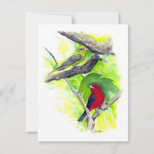 Belle carte de billet Couple Tanager Scarlet