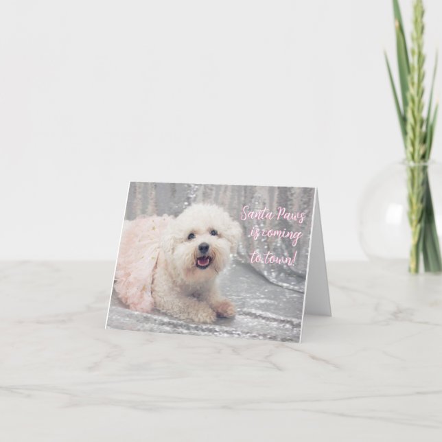 Belle carte de Noël Bichon Frise Ballerina (Devant)