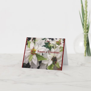 Belle carte de Noël blanche Poinsettia
