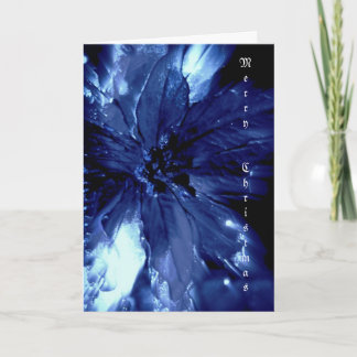 Belle carte de Noël bleu pointsetta