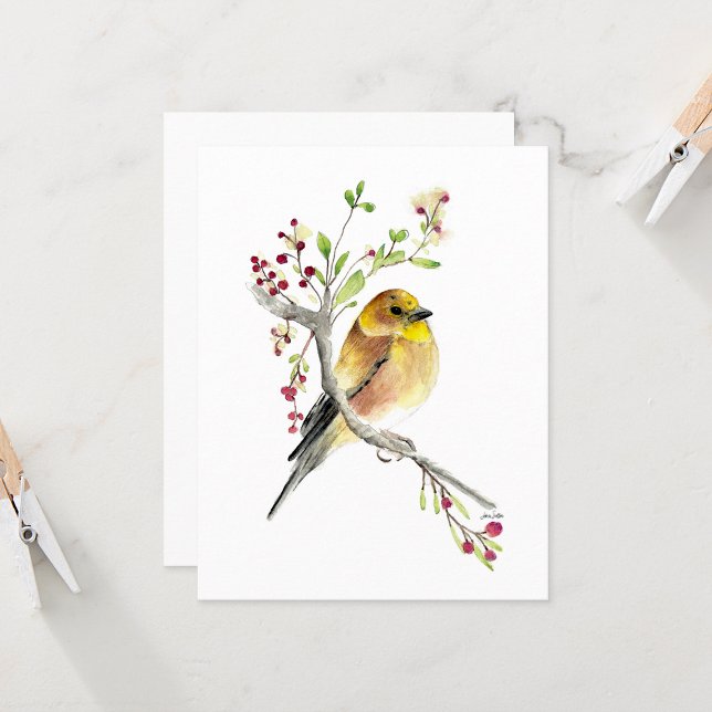 Belle carte de note aux oiseaux chanteurs américai (Beautiful American Goldfinch Songbird Blank Note Cards from Jenn Steffen Art)