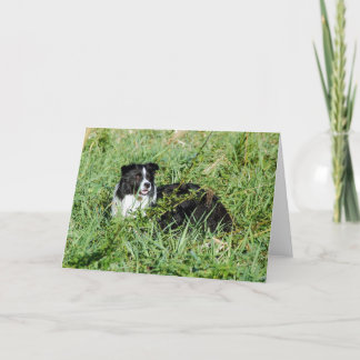 Belle carte de note de border collie