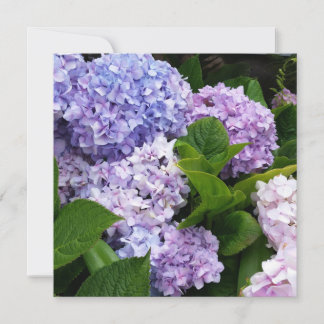 Belle carte de notes Hydrangeas