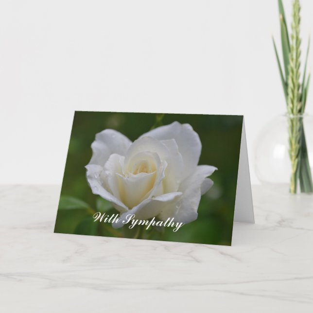 Belle Carte de Sympathie à la Fleur Rose Blanche (Devant)