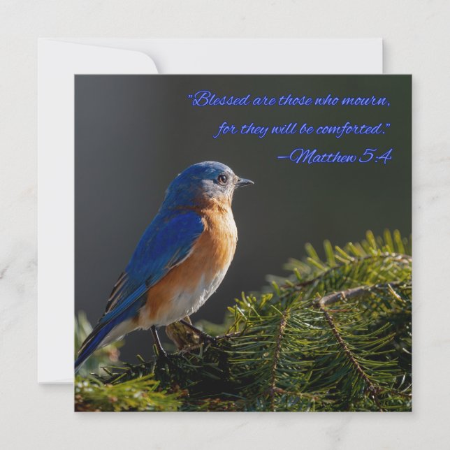 Belle carte de sympathie Bluebird Matthieu 5:4 (Devant)