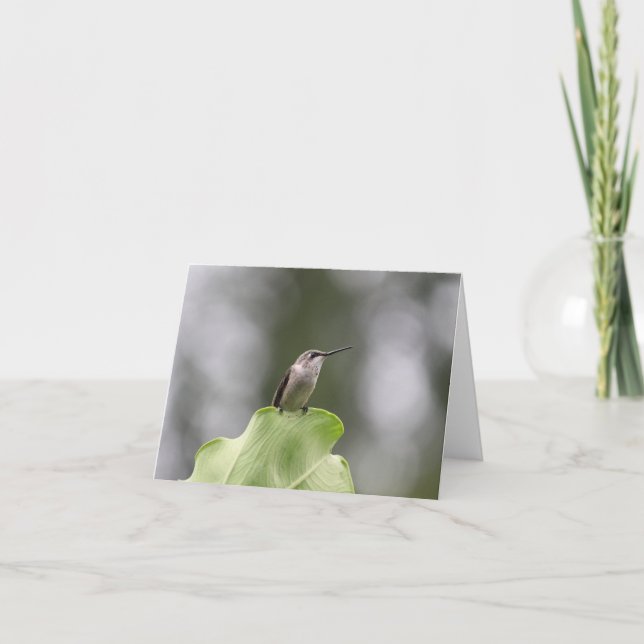 Belle carte de voeux aux colibris (Devant)