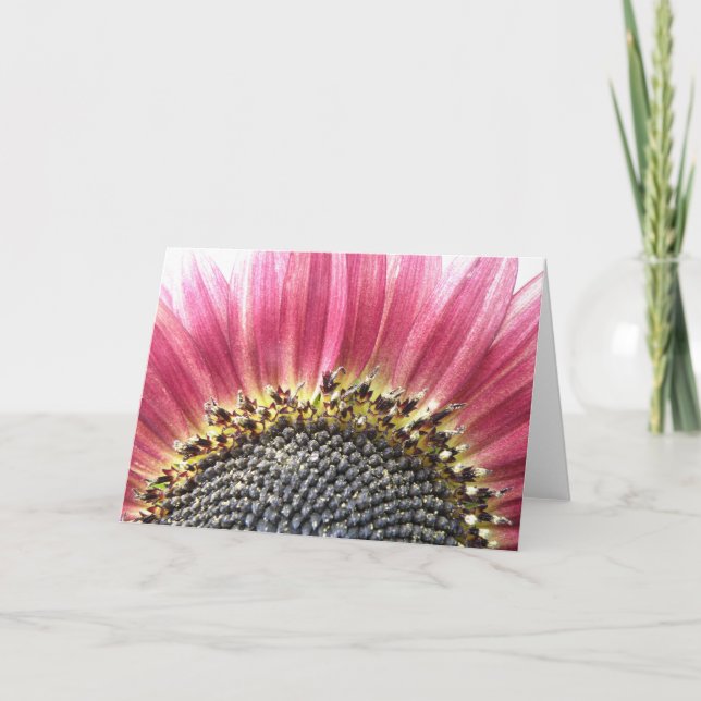 Belle carte de voeux de tournesol rose (Devant)