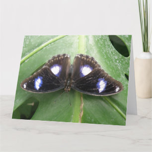 Belle carte de voeux Papillon Bleu tacheté