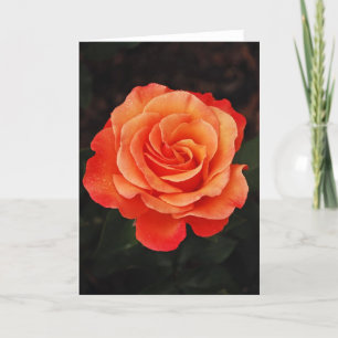 Belle carte de voeux rose simple orange