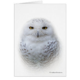 Belle carte de voeux Serene Snowy Dreamy