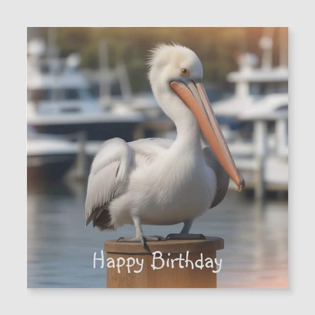 Belle carte magnétique d'anniversaire de Pélican (Devant)