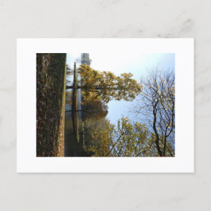 Belle Carte postale Arbre