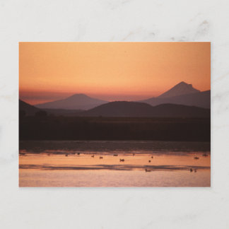 Belle carte postale de Californie