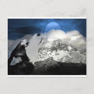 Belle carte postale Husky Holiday