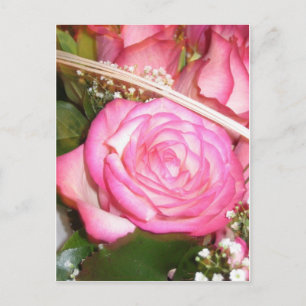 Belle carte postale rose