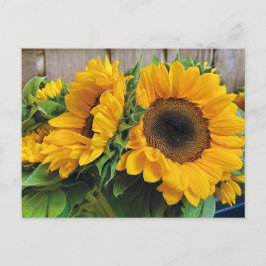 Belle carte postale tournesol