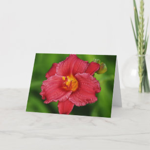 Belle carte rouge Tropical Flower Note