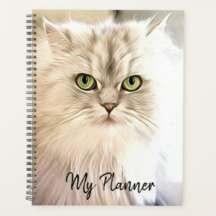 Belle Chat Blanc