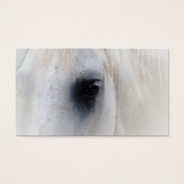 Belle Closeup de Cheval Blanc (Devant)