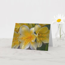 Belle Crème Jaune Lily Fleurs d'or Carte d'Art