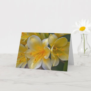 Belle Crème Jaune Lily Fleurs d'or Carte d'Art