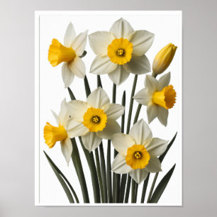 Belle Daffodil Fleurs Poster Décor Mur