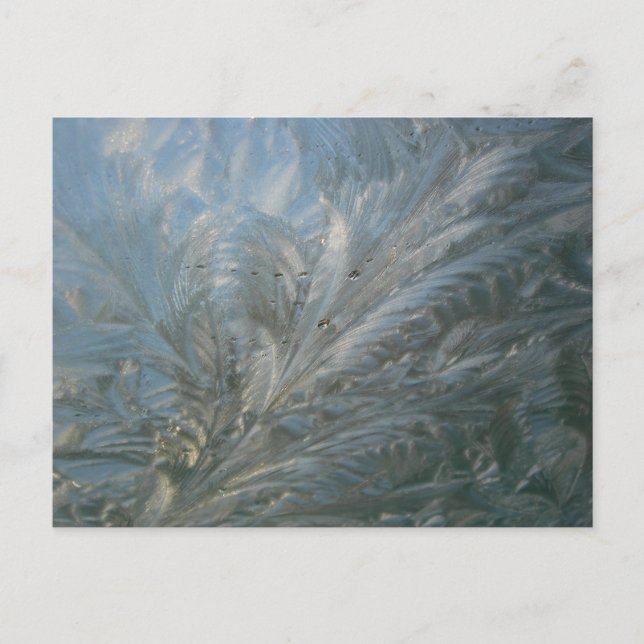 Belle do-it-yourself Carte postale Fleur de Glace (Devant)