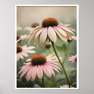 Belle Echinacea Fleur Poster Mur Art