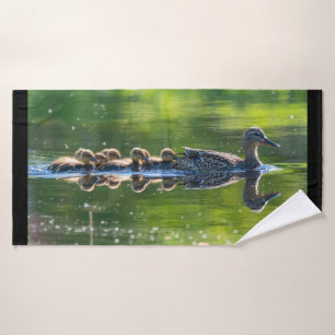 Belle famille de canards colverts