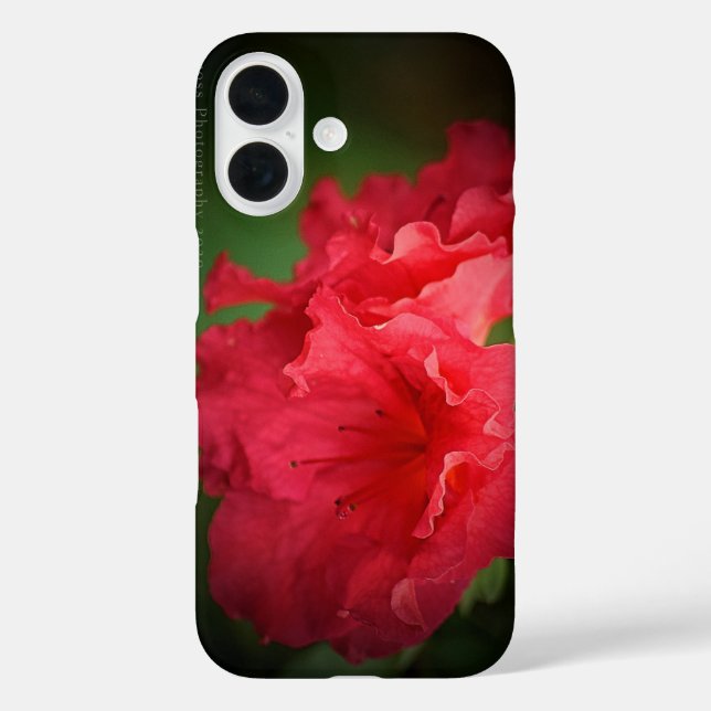 Belle Fleur Rouge * Coque-Mate coque iphone (Verso)
