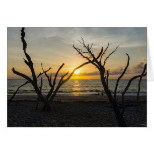 Belle folie matinale