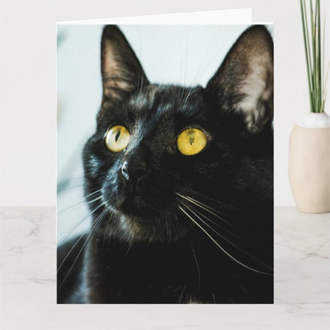 belle grande carte de voeux vierge de chat noir (Devant)