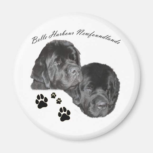Belle Harbour Newfundlands Magnet (Vorne)