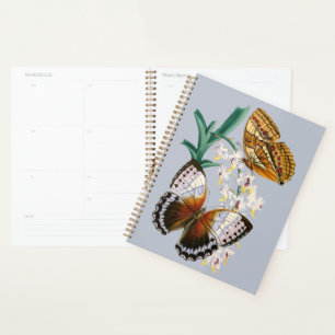 Belle illustration Vintage de papillon floral