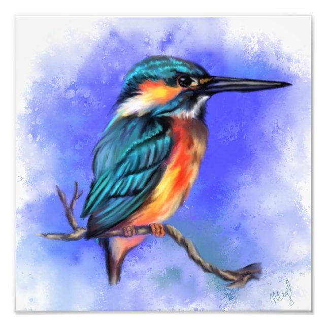 Belle Kingfisher Bird Photo Imprimer (Devant)