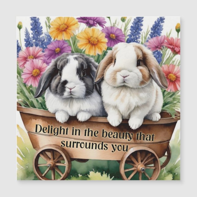 Belle Lop Lapin Lapin Jolie carte magnétique (Devant)