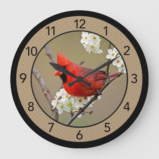 Belle Male Cardinal Grande Horloge (Recto)