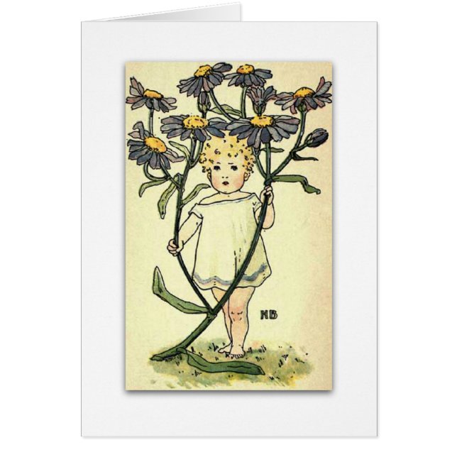 Belle marguerite de Michaelmas par NELLIE BENSON (Devant)