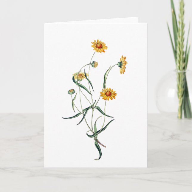 Belle Marguerite Jaune Carte Fleurs Sauvages (Devant)
