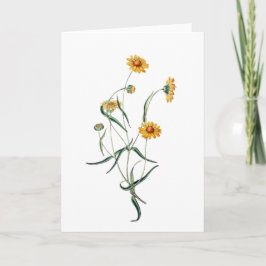 Belle Marguerite Jaune Carte Fleurs Sauvages