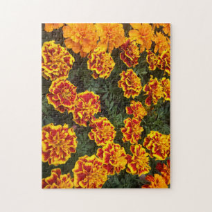 Belle Marigolds Jigsaw Puzzle