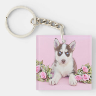 Belle marionnette Husky aux roses roses roses