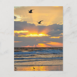 Belle Matin Plage Sunrise Paysage Carte postale