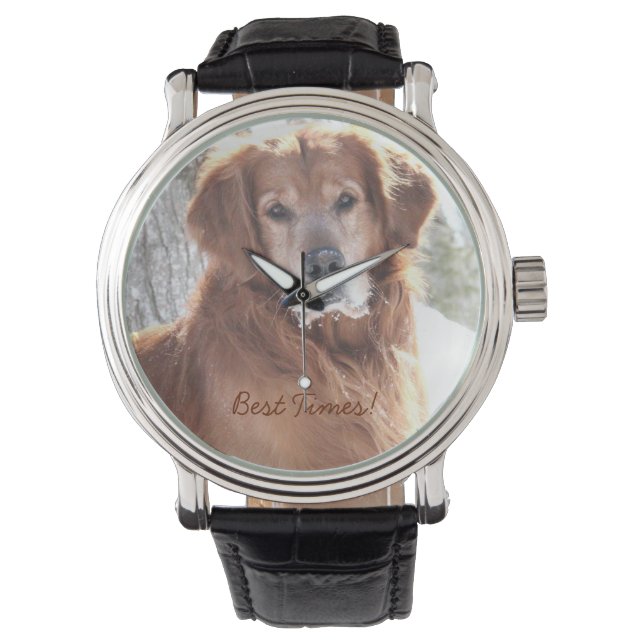 Belle montre de chien (devant)