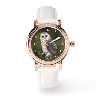 Belle montre de la chouette de la grange occidenta