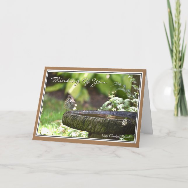 Belle pensée d'oiseau de vous Carte de voeux (Devant)