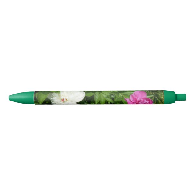 Belle Peonies blanches et roses - Stylo d'encre de (Devant)